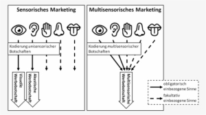 Sensorisches Marketing Versus Multisensorisches Marketing - Sensory Branding