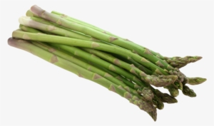 asparagus png image - asparagus png