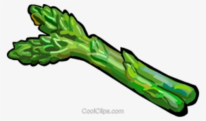 Asparagus Royalty Free Vector Clip Art Illustration - Asparagus Clipart