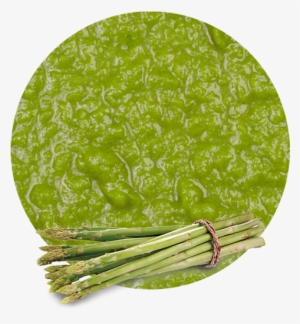 Green Asparagus Puree - Garden Asparagus
