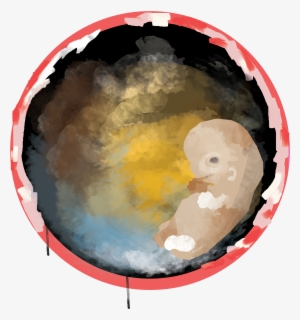 This Is An Illustration For An Embryo - Circle