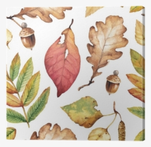 Watercolor Illustrations Of Leaves - Leaf