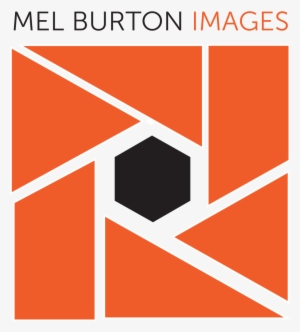 Graphic Design