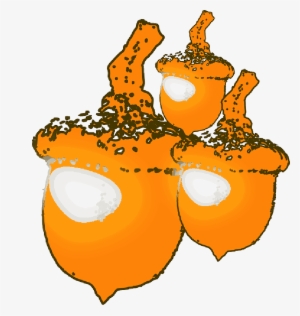 Mb Image/png - Animated Nuts