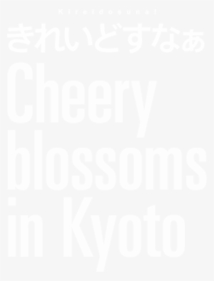 きれいどすなぁ cheery blossoms in kyoto - black cherry blues