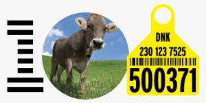 Ibm100 Optimizing The Food Supply Iconic Mark - Ibm Cow