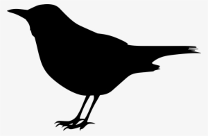 Blackbirdbackground - Clip Art Black Bird
