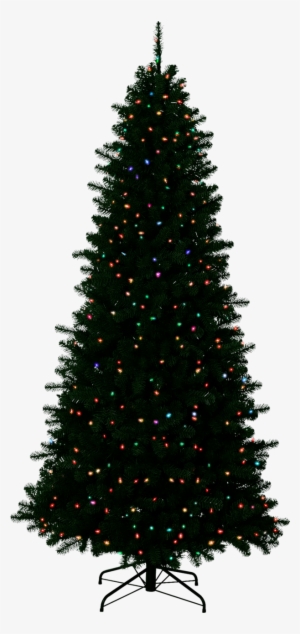 Christmas Outside Transparent Background - Christmas Tree Without A Background
