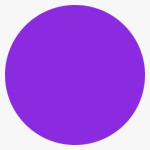 Disc Plain Violet - Halten Und Parken Verboten