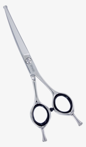 Curved Blunt Tip - Scissors