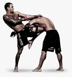 Mixed Martial Arts Fight Png Pic - Mix Martial Arts Png