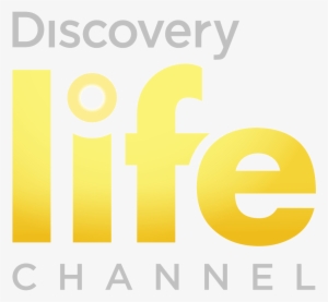 Discovery Life Channel Us Logo - Discovery Life Channel Logo
