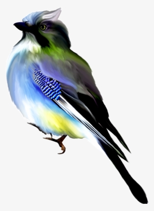 Hand Painted Black Blue Watercolor Bird Png Transparent - Птицы На Белом Фоне
