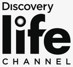 Discovery Life Channel Logo
