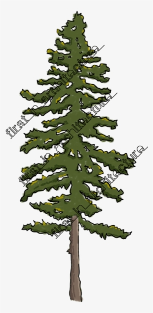 Fia Trees Elevation - Sketchy Tree