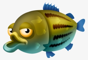 Yellow Bass - Fish