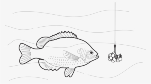 Black And White Fishing Bait Fishing Rods - Fish Fishing Rod Png
