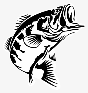 Bass Fish Respect Logo