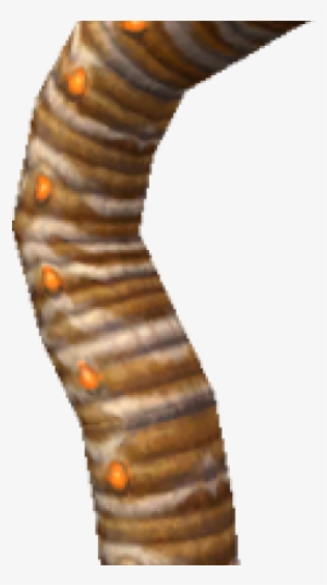 Worms Png Transparent Images - Portable Network Graphics