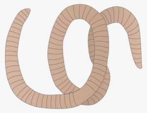 Ian Symbol Segmented Worm - Segmented Worm