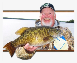 Smallmouth Bass Are Not The Dominant Species In The - Bass Fish Ontario