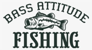 Bass Attitude Fishing - Transparent Clipart Of Bass Fish