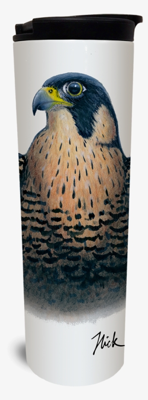 Peregrine Falcon Tumbler - Watermark