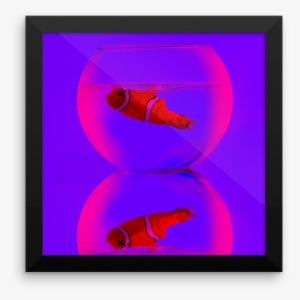 Dead Fish Framed Poster - Circle