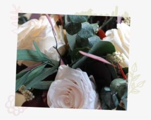 Shop Flowers - Garden Roses