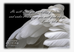 Sign Up On My Email List To Receive A Free Ebook On - Finding A White Feather