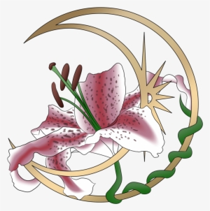 Most Of You Know Me As Lily - Lily Stargazer Png