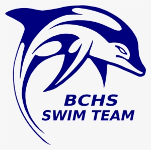 Graphic Stock Bchs Swim Team Dolphin Clip Art At - Jkl Dolphins