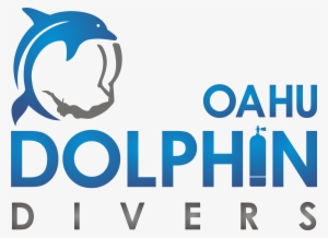 Dolphin Divers - Krasnoyarsk