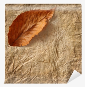 Closeup Of Old Parchment Paper With Leaf Wall Mural - Parchment