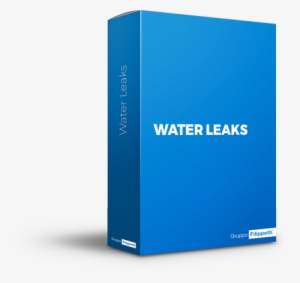 Water Leaks - Book Cover