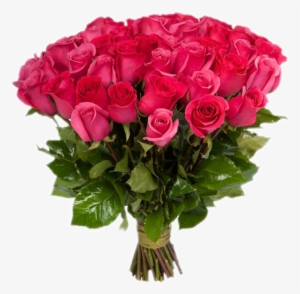 Real Flowers Nature Beautiful Roses Red Awesome Love - Розовых Роз