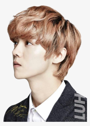 Description - Exo Ivy Club 2013 Transparent PNG - 514x720 - Free Download  on NicePNG