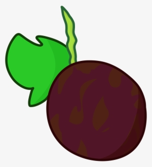 Ast-passionfruit - Bfdi Vegetables