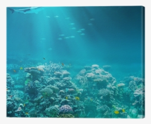 Sea Or Ocean Underwater Coral Reef With Shark Canvas - Poetry On Moral Values