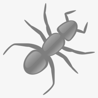 Ant Clipart Transparent - Ant Clip Art