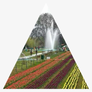 Fountains - Indira Gandhi Memorial Tulip Garden