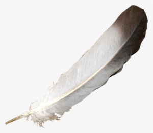 Feather Psd Official Psds - Feather Psd