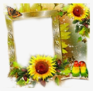 Sunflower Border Png Autumn Sunflower Frame - Frames Sunflowers Transparent