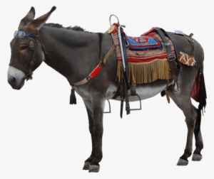 Free Png Donkey Png Images Transparent - Esek Png