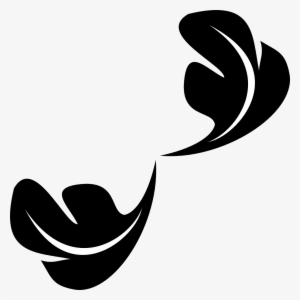 Feather Flying Soft Flourish Transparent Image - Leaf Ornament Png