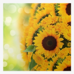 Sunflowers Anc Marigold Flowers Border Poster • Pixers® - Common Sunflower