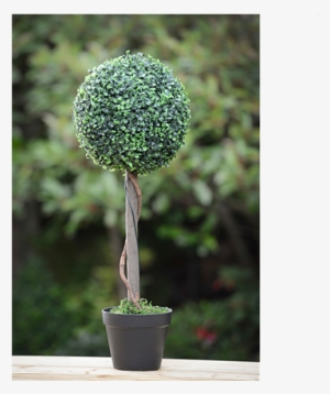 topiary tree with solar light 70cm - flowerpot