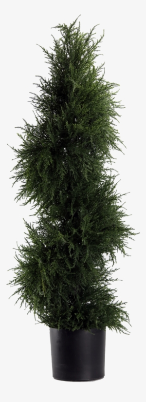 43" Artificial Spiral Cedar Topiary