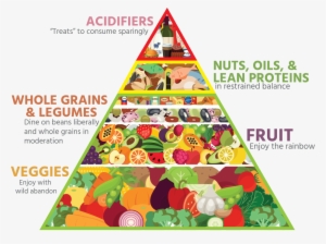 Bailey's Food Pyramid - 2016 Healthy Food Pyramid