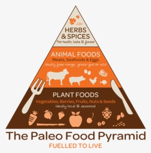 Paleo Diet - Paleo Food Pyramid